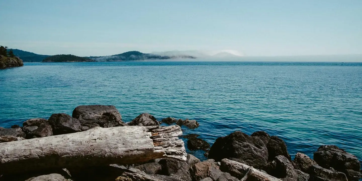 Driftwood and rocks on a calm bay
